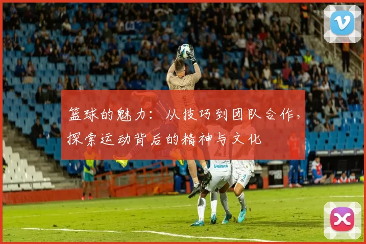 篮球的魅力：从技巧到团队合作，探索运动背后的精神与文化