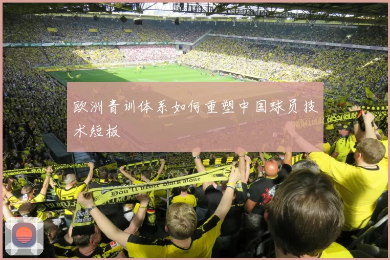 欧洲青训体系如何重塑中国球员技术短板