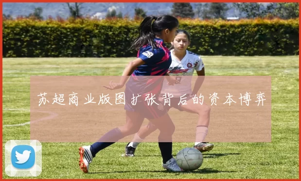 苏超商业版图扩张背后的资本博弈