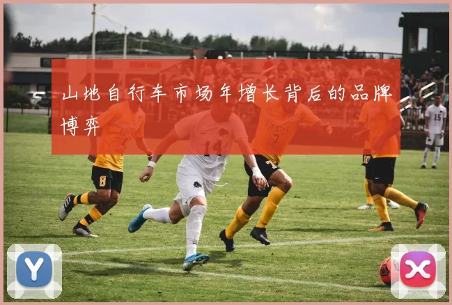 山地自行车市场年增长背后的品牌博弈