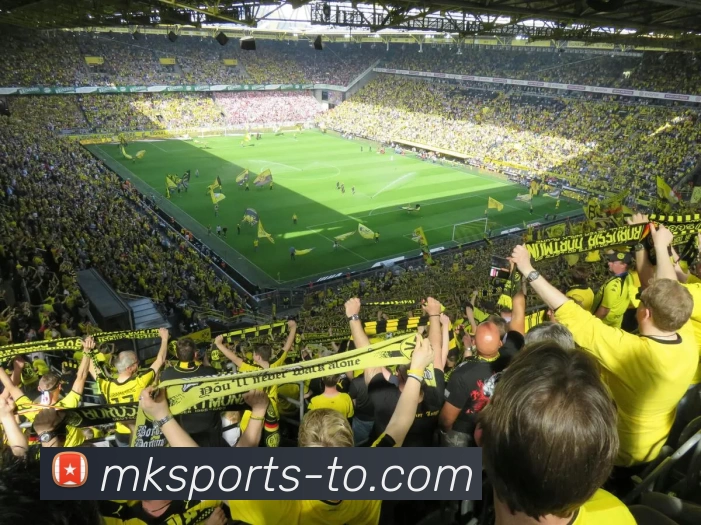 MKsports品牌故事